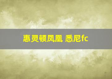 惠灵顿凤凰 悉尼fc